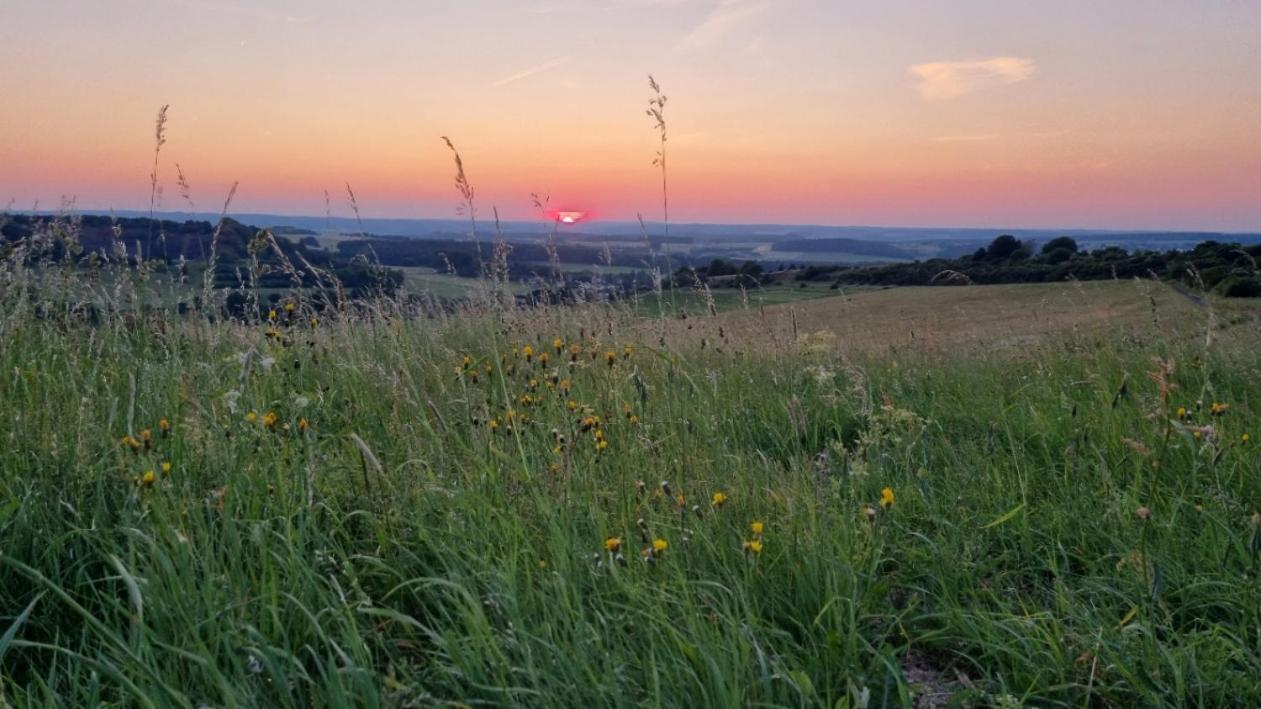 Ferienwohnung Eifelweh - Lieblingszeit Berndorf  Dış mekan fotoğraf